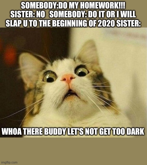 Scared Cat Meme | SOMEBODY:DO MY HOMEWORK!!! SISTER: NO   SOMEBODY: DO IT OR I WILL SLAP U TO THE BEGINNING OF 2020 SISTER:; WHOA THERE BUDDY LET'S NOT GET TOO DARK | image tagged in memes,scared cat | made w/ Imgflip meme maker