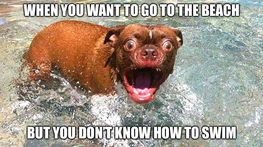 Memes | WHEN YOU WANT TO GO TO THE BEACH; BUT YOU DON’T KNOW HOW TO SWIM | image tagged in funny memes | made w/ Imgflip meme maker