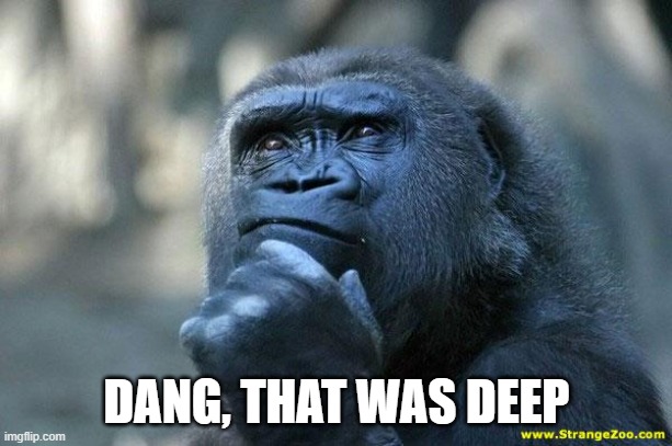 Deep Thoughts | DANG, THAT WAS DEEP | image tagged in deep thoughts | made w/ Imgflip meme maker