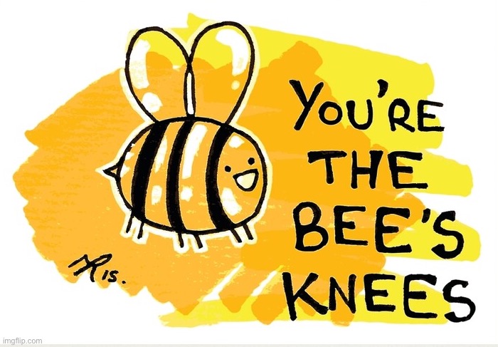 Apropos of nothing | image tagged in you re the bee s knees | made w/ Imgflip meme maker
