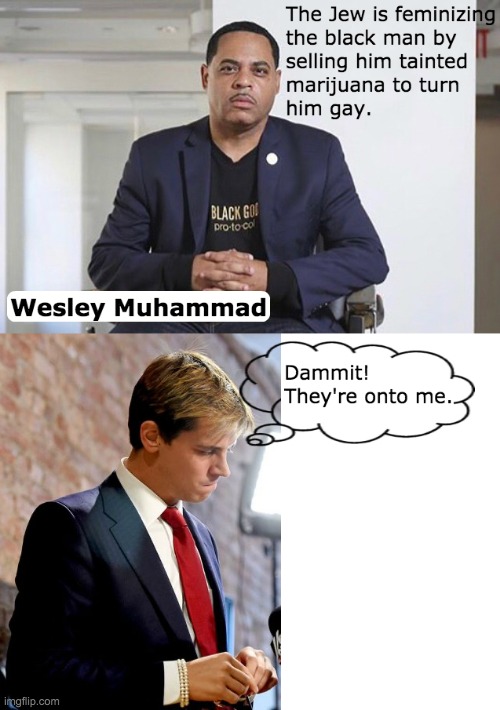 It was a good plan. | image tagged in milo yiannopoulos,jews,marijuana | made w/ Imgflip meme maker