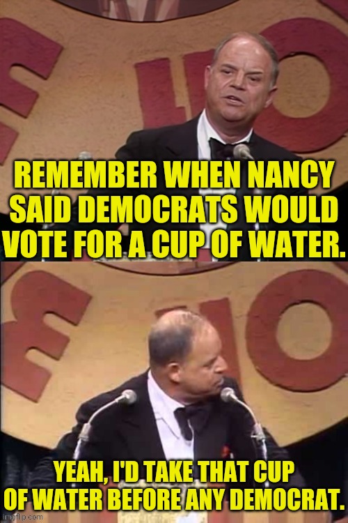 Wouldn't you take a Glass of Water Too | REMEMBER WHEN NANCY SAID DEMOCRATS WOULD VOTE FOR A CUP OF WATER. YEAH, I'D TAKE THAT CUP OF WATER BEFORE ANY DEMOCRAT. | image tagged in don rickles roast,democrats,democrat party,drstrangmeme,conservatives | made w/ Imgflip meme maker