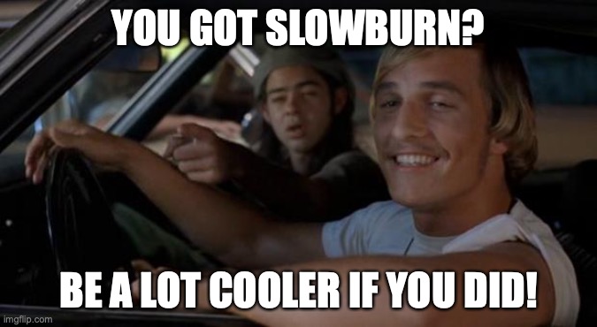 Slow Burn SlowRide | YOU GOT SLOWBURN? BE A LOT COOLER IF YOU DID! | image tagged in it'd be a lot cooler if you did | made w/ Imgflip meme maker