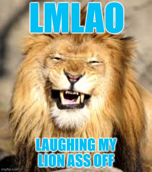 Lions make lions laugh | LMLAO; LAUGHING MY LION ASS OFF | image tagged in lions,detroit lions,d town,d town lions,nfc north division trash talk | made w/ Imgflip meme maker