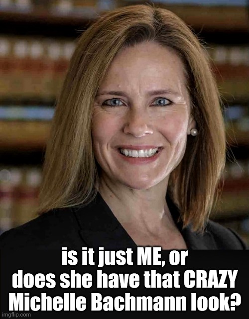 That Bachmann look... | is it just ME, or does she have that CRAZY Michelle Bachmann look? | image tagged in supreme court,donald trump | made w/ Imgflip meme maker