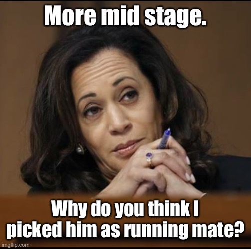 Kamala Harris  | More mid stage. Why do you think I picked him as running mate? | image tagged in kamala harris | made w/ Imgflip meme maker