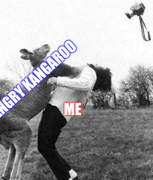 Kangaroo knockout  | ANGRY KANGAROO ME | image tagged in kangaroo knockout | made w/ Imgflip meme maker