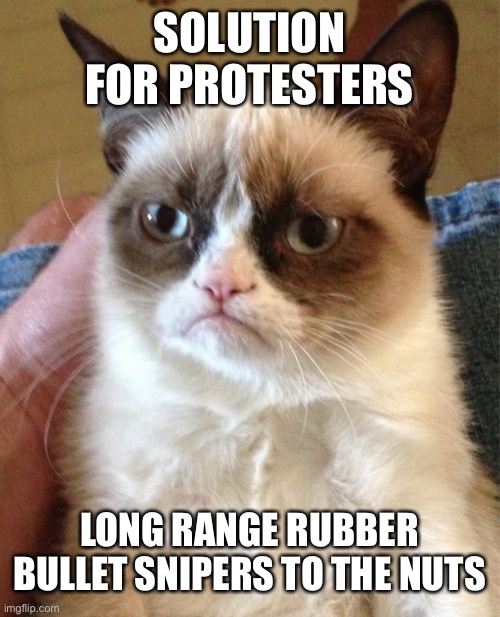Long Range Nut Crunchers | SOLUTION FOR PROTESTERS; LONG RANGE RUBBER BULLET SNIPERS TO THE NUTS | image tagged in memes,grumpy cat | made w/ Imgflip meme maker