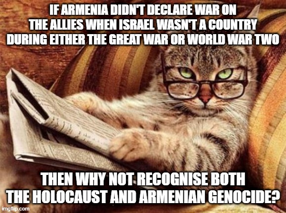 Philosophy cat | IF ARMENIA DIDN'T DECLARE WAR ON THE ALLIES WHEN ISRAEL WASN'T A COUNTRY DURING EITHER THE GREAT WAR OR WORLD WAR TWO THEN WHY NOT RECOGNISE | image tagged in philosophy cat | made w/ Imgflip meme maker