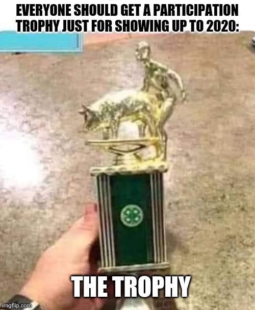 Another meme for the last age | EVERYONE SHOULD GET A PARTICIPATION TROPHY JUST FOR SHOWING UP TO 2020:; THE TROPHY | image tagged in funny | made w/ Imgflip meme maker