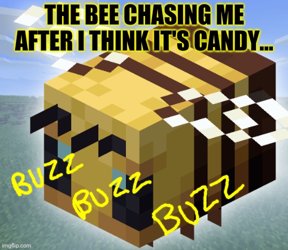 KILLER BEE | THE BEE CHASING ME AFTER I THINK IT'S CANDY... | image tagged in killer bee | made w/ Imgflip meme maker