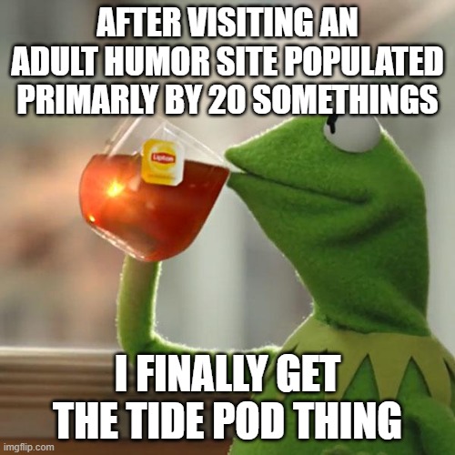 But That's None Of My Business Meme | AFTER VISITING AN ADULT HUMOR SITE POPULATED PRIMARLY BY 20 SOMETHINGS; I FINALLY GET THE TIDE POD THING | image tagged in memes,but that's none of my business,kermit the frog | made w/ Imgflip meme maker