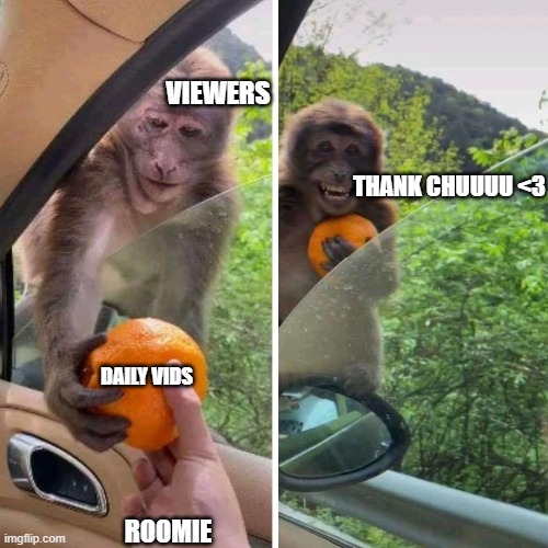 When RoomieOfficial posts daily vids <3333 | VIEWERS; THANK CHUUUU <3; DAILY VIDS; ROOMIE | image tagged in monkey orange | made w/ Imgflip meme maker