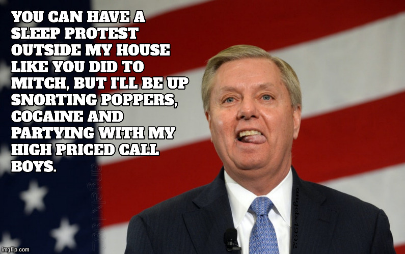 image tagged in lindsey graham,poppers,cocaine,lgbtq,protests,hookers | made w/ Imgflip meme maker