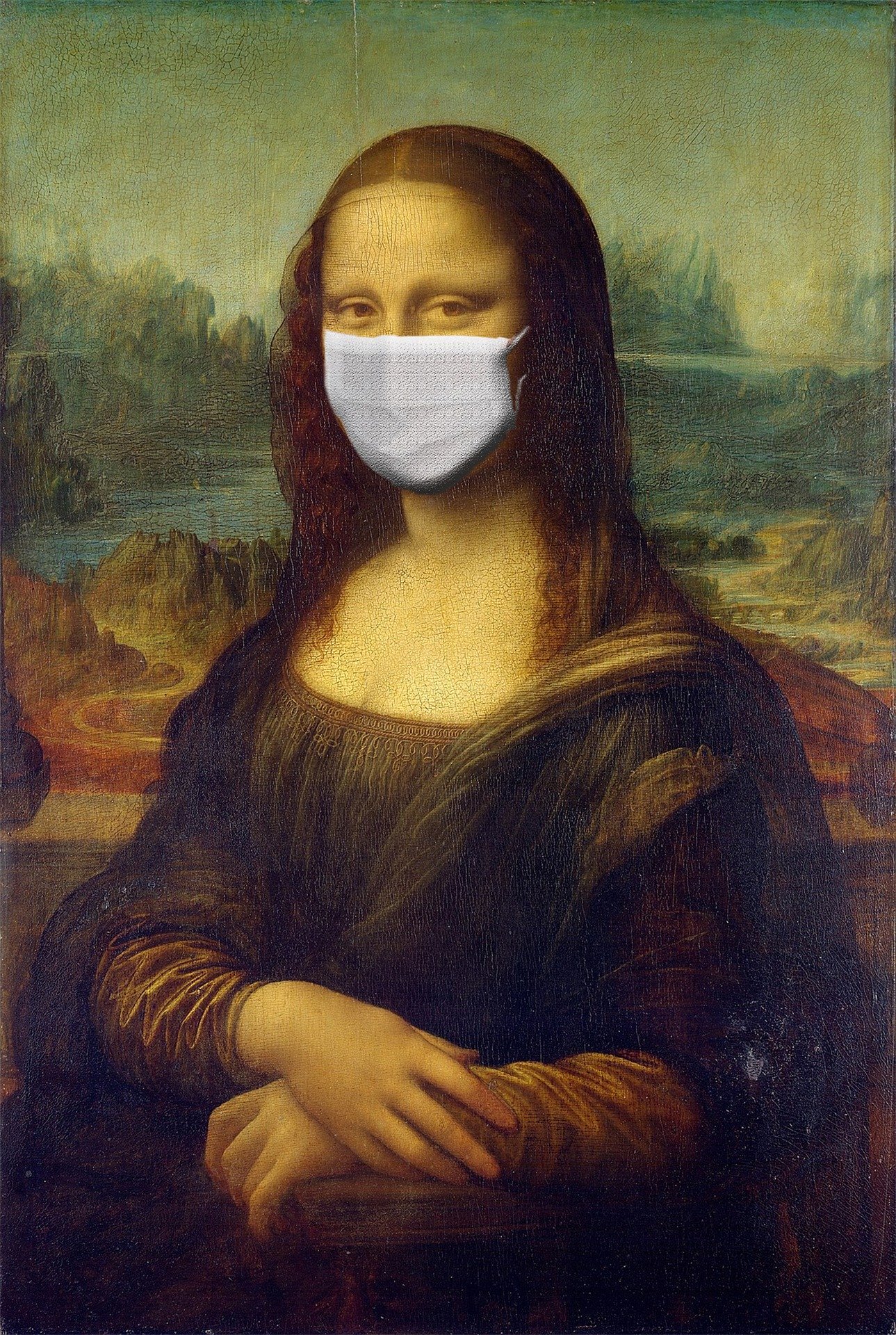 Mona Lisa face mask Blank Meme Template