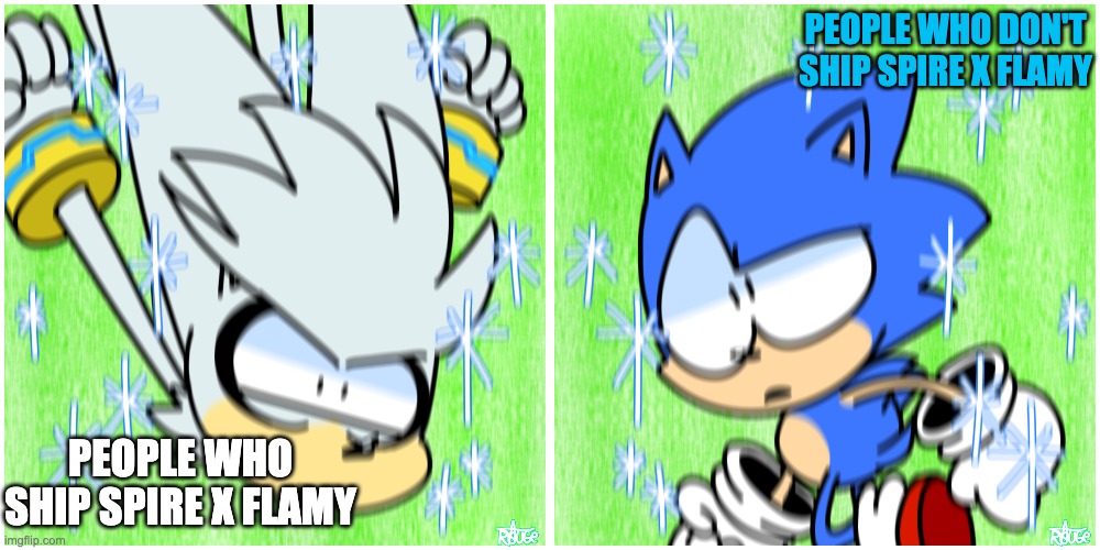 Sonic passby | PEOPLE WHO SHIP SPIRE X FLAMY PEOPLE WHO DON'T SHIP SPIRE X FLAMY | image tagged in sonic passby | made w/ Imgflip meme maker