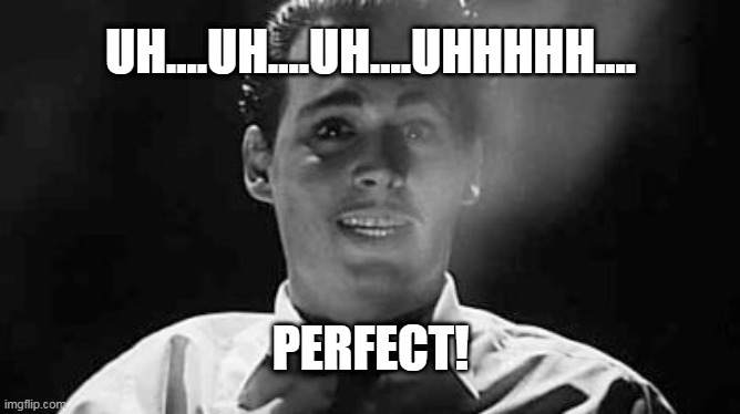 ed wood perfect | UH....UH....UH....UHHHHH.... PERFECT! | image tagged in funny | made w/ Imgflip meme maker