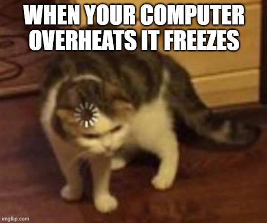 Loading Cat | WHEN YOUR COMPUTER OVERHEATS IT FREEZES | image tagged in loading cat | made w/ Imgflip meme maker
