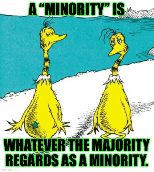 What is a “minority”? | A “MINORITY” IS; WHATEVER THE MAJORITY REGARDS AS A MINORITY. | image tagged in star-bellied sneeches,minorities,racism,bigotry,bigots,social justice | made w/ Imgflip meme maker