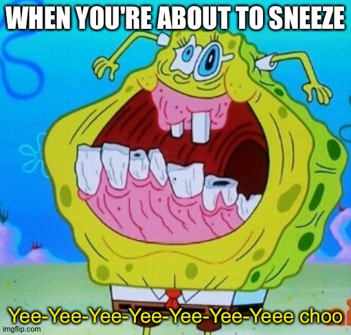 Bless you | WHEN YOU'RE ABOUT TO SNEEZE; Yee-Yee-Yee-Yee-Yee-Yee-Yeee choo | image tagged in spongebob face freeze | made w/ Imgflip meme maker