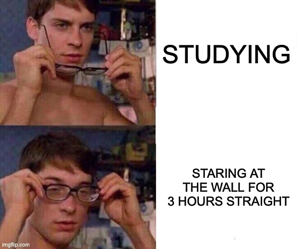 Anyone else? | STUDYING; STARING AT THE WALL FOR 3 HOURS STRAIGHT | image tagged in spiderman glasses,school,studying | made w/ Imgflip meme maker