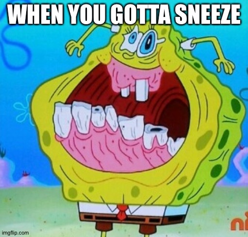 SpongeBob face freeze | WHEN YOU GOTTA SNEEZE | image tagged in spongebob face freeze | made w/ Imgflip meme maker