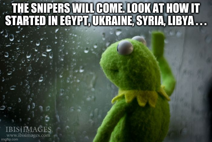 kermit window | THE SNIPERS WILL COME. LOOK AT HOW IT STARTED IN EGYPT, UKRAINE, SYRIA, LIBYA . . . | image tagged in kermit window | made w/ Imgflip meme maker