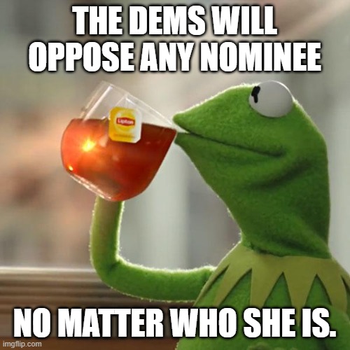 But That's None Of My Business Meme | THE DEMS WILL OPPOSE ANY NOMINEE NO MATTER WHO SHE IS. | image tagged in memes,but that's none of my business,kermit the frog | made w/ Imgflip meme maker