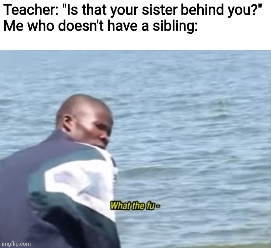Oh no.. | Teacher: "Is that your sister behind you?"
Me who doesn't have a sibling: | image tagged in what the fu-,online class | made w/ Imgflip meme maker