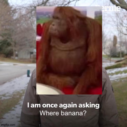 Where? | Where banana? | made w/ Imgflip meme maker