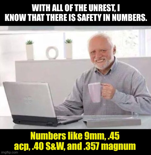 Safety | WITH ALL OF THE UNREST, I KNOW THAT THERE IS SAFETY IN NUMBERS. Numbers like 9mm, .45 acp, .40 S&W, and .357 magnum | image tagged in harold | made w/ Imgflip meme maker