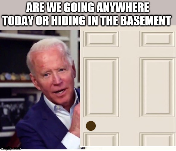 ARE WE GOING ANYWHERE TODAY OR HIDING IN THE BASEMENT | image tagged in memes | made w/ Imgflip meme maker