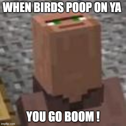 WHEN BIRDS POOP ON YA; YOU GO BOOM ! | made w/ Imgflip meme maker