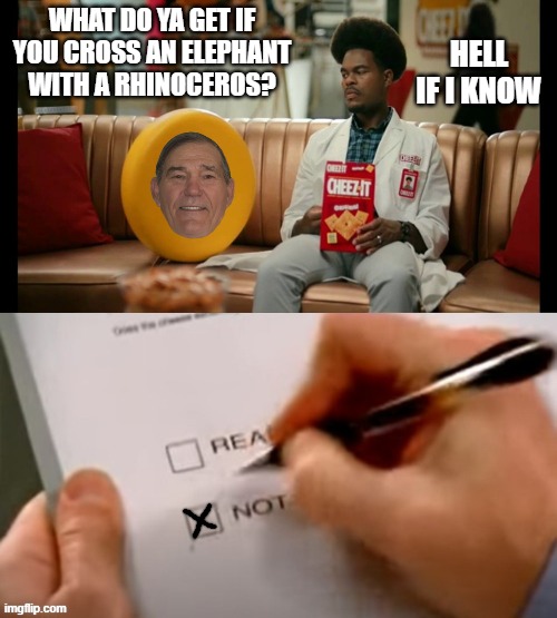 cheese weekend | HELL IF I KNOW; WHAT DO YA GET IF YOU CROSS AN ELEPHANT WITH A RHINOCEROS? | image tagged in cheese,cheese weekend | made w/ Imgflip meme maker