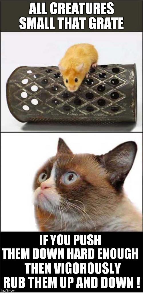 Grumpys Food Preparation Tip | ALL CREATURES SMALL THAT GRATE; IF YOU PUSH THEM DOWN HARD ENOUGH; THEN VIGOROUSLY RUB THEM UP AND DOWN ! | image tagged in memes,grumpy cat,mouse,cheesegrater | made w/ Imgflip meme maker