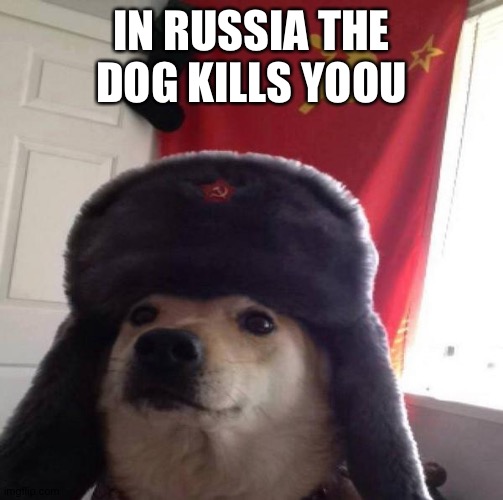 Russian Doge | IN RUSSIA THE DOG KILLS YOOU | image tagged in russian doge | made w/ Imgflip meme maker