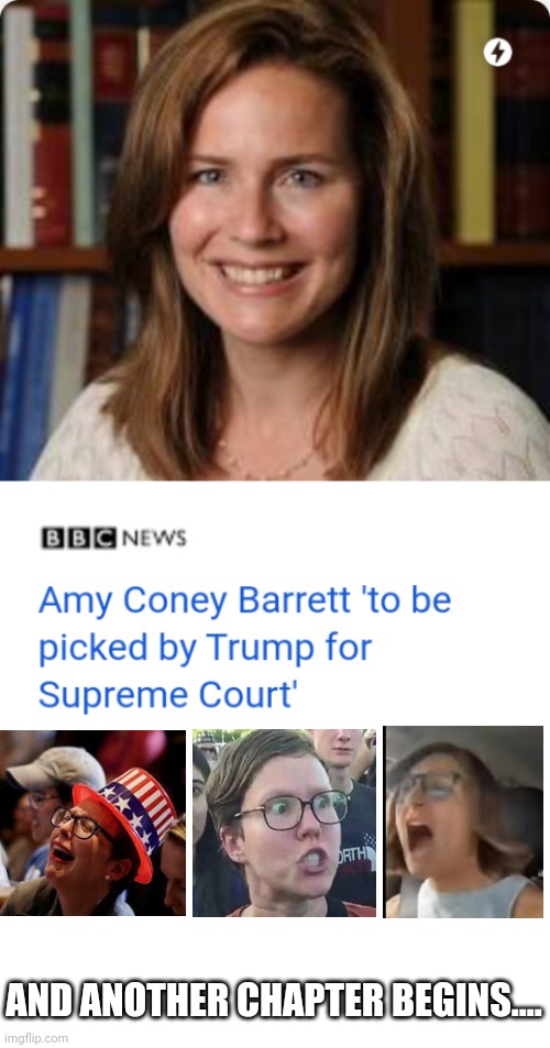 Looks like we have our new Supreme Court pick... | AND ANOTHER CHAPTER BEGINS.... | image tagged in blank white template,liberals,crying,supreme court,trump 2020 | made w/ Imgflip meme maker