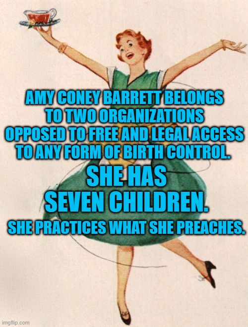 Kiss Reproductive Freedom Goodbye | AMY CONEY BARRETT BELONGS TO TWO ORGANIZATIONS OPPOSED TO FREE AND LEGAL ACCESS TO ANY FORM OF BIRTH CONTROL. SHE HAS SEVEN CHILDREN. SHE PRACTICES WHAT SHE PREACHES. | image tagged in politics | made w/ Imgflip meme maker