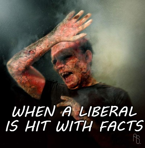 Liberal Facing Facts | WHEN A LIBERAL IS HIT WITH FACTS | image tagged in college liberal,liberals,stupid,facts | made w/ Imgflip meme maker