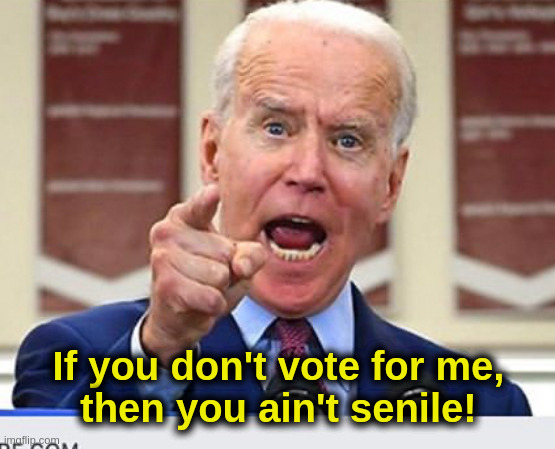 If you don't vote for me... | If you don't vote for me,
then you ain't senile! | image tagged in joe biden,president,campaign,election,politics,black | made w/ Imgflip meme maker