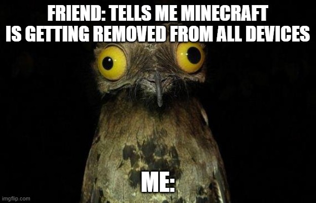 Weird Stuff I Do Potoo Meme | FRIEND: TELLS ME MINECRAFT IS GETTING REMOVED FROM ALL DEVICES; ME: | image tagged in memes,weird stuff i do potoo | made w/ Imgflip meme maker
