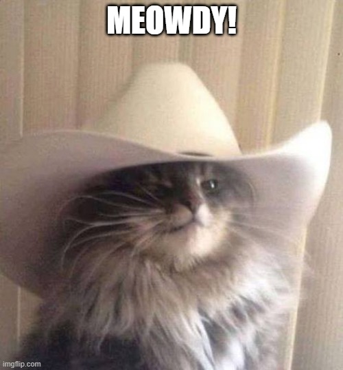 Meowdy! | MEOWDY! | image tagged in meowdy | made w/ Imgflip meme maker