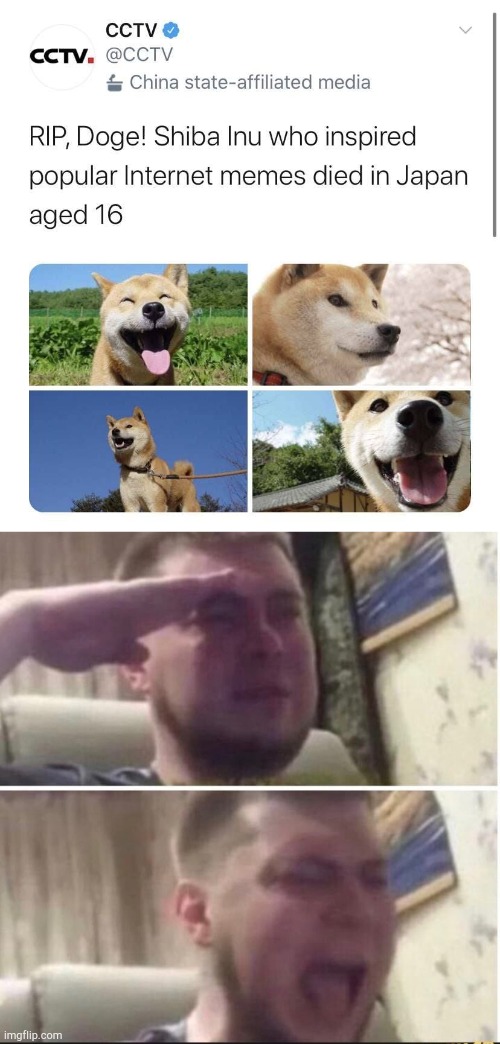 RIP | image tagged in crying salute | made w/ Imgflip meme maker