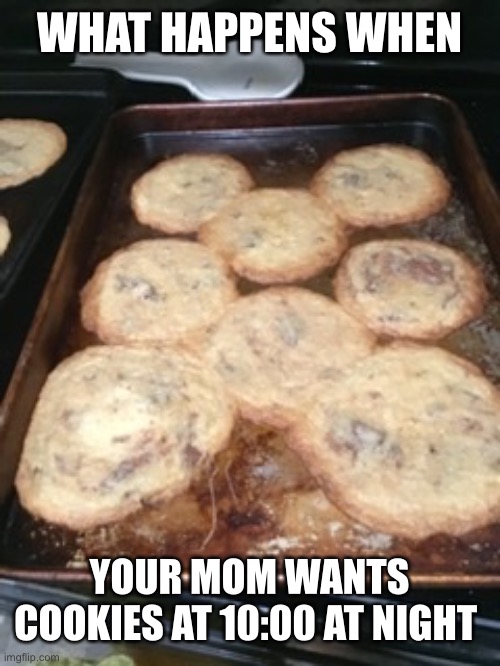 WHAT HAPPENS WHEN; YOUR MOM WANTS COOKIES AT 10:00 AT NIGHT | image tagged in epic fail | made w/ Imgflip meme maker