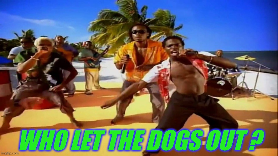 Who let the dogs out  | WHO LET THE DOGS OUT ? | image tagged in who let the dogs out | made w/ Imgflip meme maker