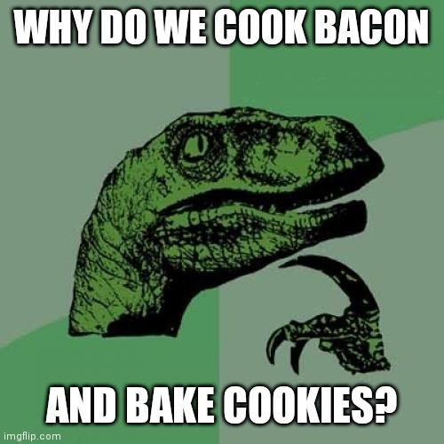 Philosoraptor Meme |  WHY DO WE COOK BACON; AND BAKE COOKIES? | image tagged in memes,philosoraptor | made w/ Imgflip meme maker
