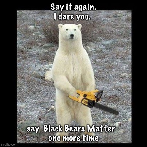 Chainsaw Bear Meme | Say it again.  I dare you. say  Black Bears Matter  
one more time | image tagged in memes,chainsaw bear | made w/ Imgflip meme maker