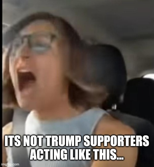 ITS NOT TRUMP SUPPORTERS ACTING LIKE THIS... | made w/ Imgflip meme maker