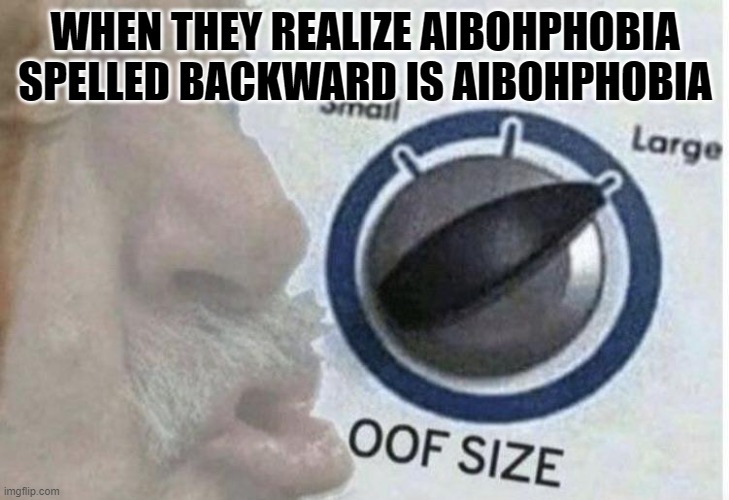 Oof size large | WHEN THEY REALIZE AIBOHPHOBIA SPELLED BACKWARD IS AIBOHPHOBIA | image tagged in oof size large | made w/ Imgflip meme maker