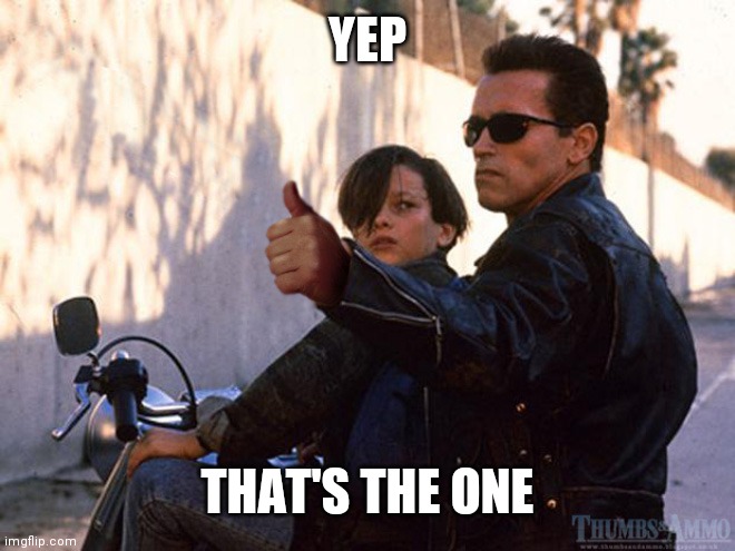 thumbsup | YEP THAT'S THE ONE | image tagged in thumbsup | made w/ Imgflip meme maker